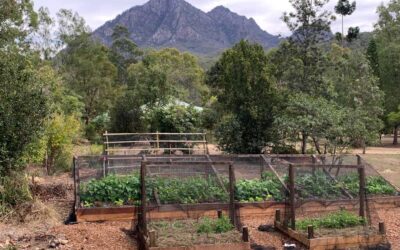 Permaculture Garden Build During COVID19 Lockdown