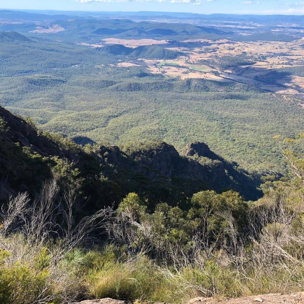 Mt Barney (North Ridge) (2)