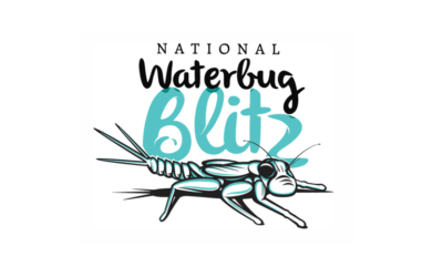 Citizen Science Waterbug Blitz Family Activity