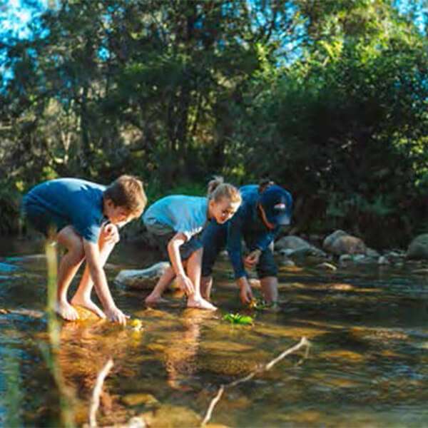 Sustainable Case Studies - Mount Barney Lodge Creek